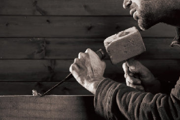 company introduction