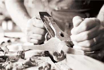 company introduction