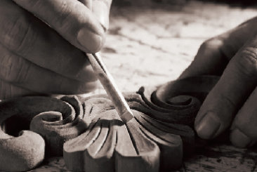 company introduction